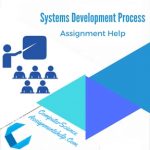 Systems Development Process